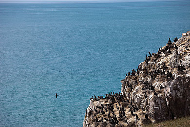 python人马配对｜Python编程奇遇：人马配对，高效编程之旅-3
