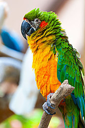 cos白丝被 到流白浆|装修噪音引纠纷,邻里对峙社区和谐待构建-3