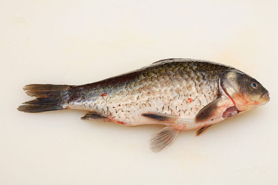 男生和女生一起差差差App|创新社交平台“男生和女生一起差差差App”走红,趣味互动助力性别平等交流-1