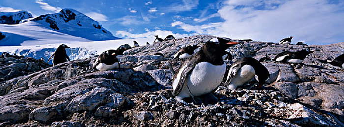 大团圆结2亲情会闪闪发光亲情会｜国庆团圆，亲子手作传情，家庭文化焕新颜-2