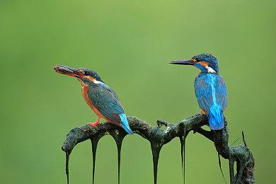 今天周末我和室友被约去唱歌小敏｜大学生周末新风尚：KTV欢歌笑语，友谊与娱乐共舞-4