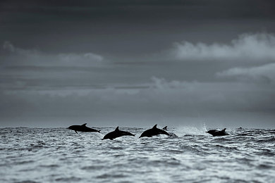 绫华捆绑sm丨ⅤK|丝韵捆绑,东方美学与西方SM的融合之旅-2