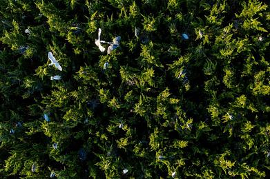 网站你应该明白意思吧｜解码网站内涵，提升企业影响力-3