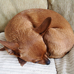 99热最新|“解码‘99热最新’:探寻资讯时代的热点魅力与理性应对之道”-2