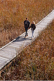 老公生日3q花落归途|浪漫之旅:感恩3Q,花落归途-1