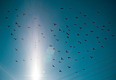 14岁初中生张婉莹的｜14岁少女张婉莹：从《王者荣耀》游戏成长记学团队合作与策略思考-3