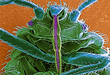 雪梨直播｜雪梨直播引领互动新潮流，打造快乐生活新篇章-3