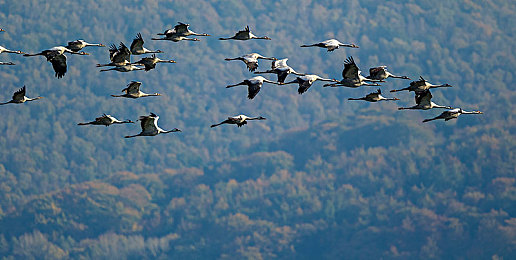 污的网站|清朗网络,共筑青春防线-3