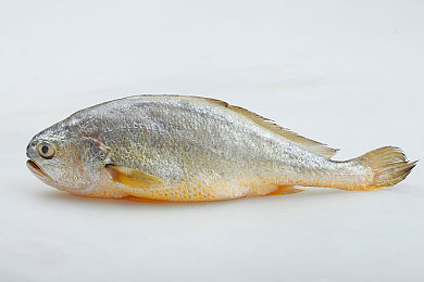 A片直播｜数字直播盛宴，互动A片世界探秘之旅-3