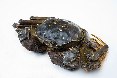 汤不热v8.5破解版下载安装免费|破解软件热潮引发的法律与道德思考-3