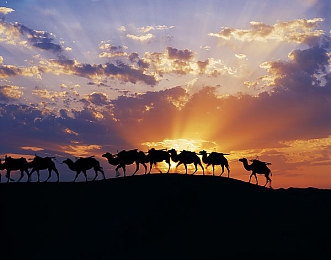 adc影视年龄确认实名认证欢迎大驾光临|影视守护者:实名认证,健康观影之旅-2