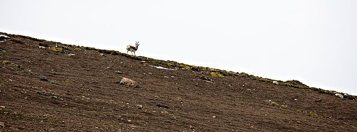 YP请牢记以下域名防止失联|轻松防失联,畅游网络新天地,YP官方域名必记攻略!-4