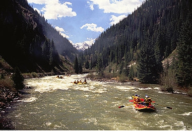 shadowweb血腥网站如何进入|网络暗影:揭秘Shadowweb血腥迷局-2