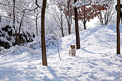 大香蕉视频｜新兴视频平台引发隐私与审核争议，用户反馈多元化