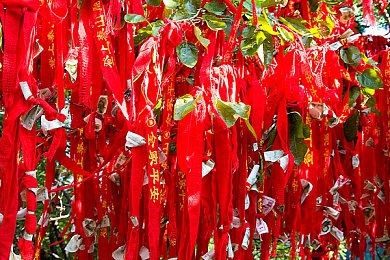 前锋与击球手下载安装｜足球盛宴来袭：“前锋与击球手”手机游戏下载安装攻略及市场前景展望-1