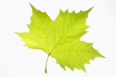 安禄山与杨玉环港版｜穿越传奇：安杨风云，红颜泪史-4