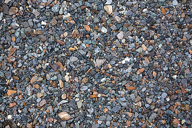 女人与公牛的婬乱生活｜兽行争议：道德与法律的双重拷问-4