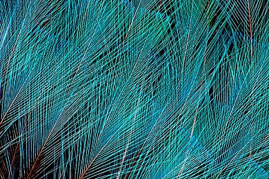 齐齐直播|直播电商新纪元中的社交互动先锋-5