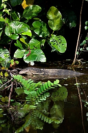 黄色18软件|畅享视听盛宴,尽在“黄色18”快乐时光之旅-3
