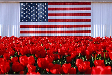 久久综合亚洲｜亚洲融合新纪元,经济文化科技齐创新-4