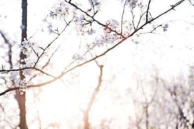 二次元打扑克｜二次元文化新风尚：创新“二次元打扑克”活动走红，丰富年轻人业余生活-4