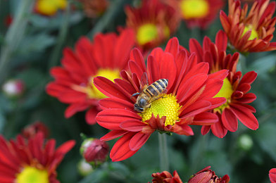 富二代app无限解锁版特色|社交新潮流,富二代app解锁无限,个性定制赢未来-4