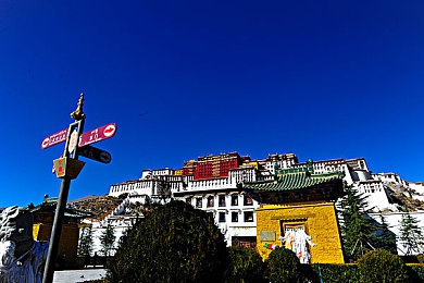 男生被绑用取精器强制取精|“暗影之下:强制取精事件拷问社会监管与人道关怀”-4