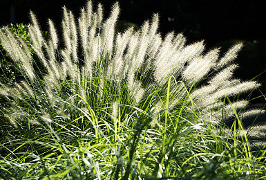 石原莉奈原谅我被夫所迫|婚姻契约:情感纠葛与策略经营,体验酸甜苦辣的婚姻生活-3