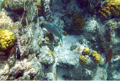 女生和男生一起差差差的APP|性别差异大揭秘,互动测试畅享沟通之旅-3