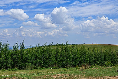 77777偷拍盗摄撒尿｜公共厕所偷拍事件引发热议，男子涉嫌不雅行为被拘留-1