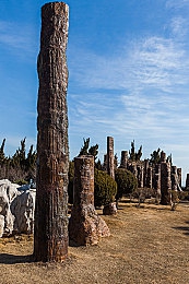 国产影视AV|国产成人影视的崛起与社会观念的重塑-3