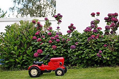 黑科网 今日黑科｜科技迷雾中的黑科之光：探索前沿科技的未来篇章-3