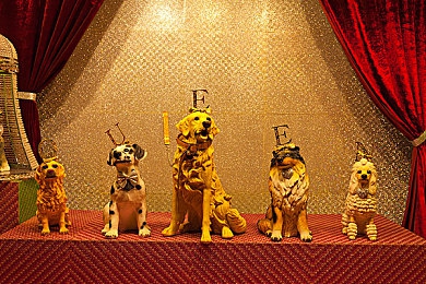 国产9麻豆剧果冻传媒何苗｜年轻人的奋斗与梦想交织的故事探索-4