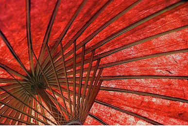 美国windows野外|美国Windows野外探险之旅:穿越时空的石窗奇境-2