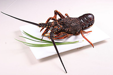 丰年经的继拇中文版使用方法｜农业收益翻倍秘籍：丰年经继拇中文版，智能种植新体验-3