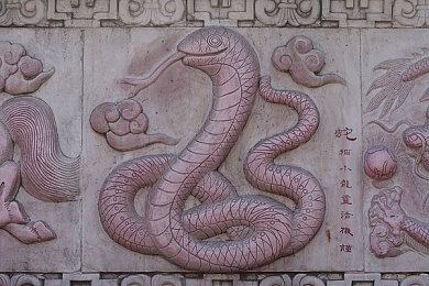 商务旅行中戴绿色帽子的女老板同行台词｜绿色帽语魅力之旅-2