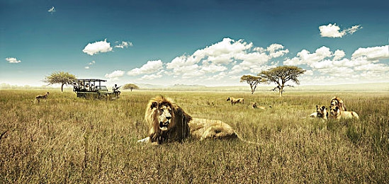 原神从西风骑士团开始的后gong调之旅冷冷滴飒,必须割｜《原神》新版本“后gong调之旅”引热议：角色设定与文化讨论交织，玩家体验两极分化-1