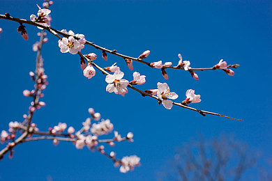 skixiwaskino免费|电影盛宴,免费观影,未来影市风云变幻-4