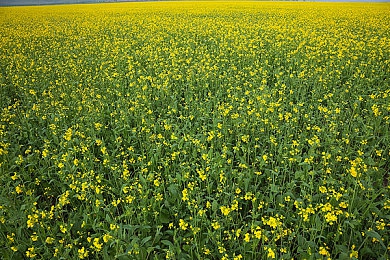 瓶子交拳头交深度巨大|瓶拳奇缘:拳拳到肉,深度探索无限乐趣-5