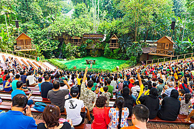 麦乐迪马克斯｜麦乐迪狂欢夜，音乐盛宴等你来-4