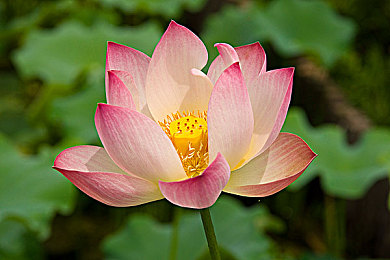 东北老女高潮过瘾对话|东北老人“高潮过瘾”对话走红网络,引发社会关注老年人生活-4