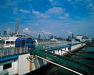 红猫大本猫营211hm今日更新|红猫大本猫营211hm:奇幻猫界冒险,新地图新角色,开启升级之旅-2