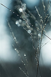 拨萝卜不盖被子｜农村“裸暖”现状：拨萝卜取暖，盖被取暖需行动