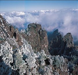 刷子刷校花脚趾缝|校园风波:校花脚趾缝事件引发的道德反思之旅-2