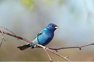 蓬莱屲山之东方之星E02｜科技之光耀蓬莱，东方之星E02开启仙境之旅-3