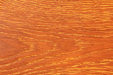 虐睾俱乐部残忍折磨睪丸|虐睾俱乐部:极端组织残酷真相,挑战人性极限-1