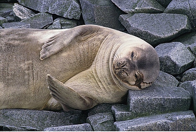 炕上与亲女乱婬｜伦理边界：揭秘亲情漩涡的伦理危机-2