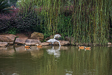 高跟鞋footjob鞋交|高跟鞋 Footjob 情缘:解码都市性别密码-5