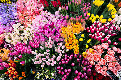 解开老师裙子猛烈进入｜惊悚校园：裙摆下的秘密惊雷-4