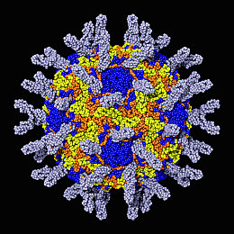 黄色TV｜“揭秘‘黄色TV’传播风波：网络监管新挑战与应对策略全解析”-4